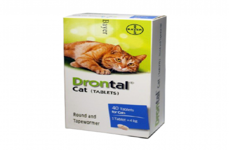 Drontal Plus For Cats!